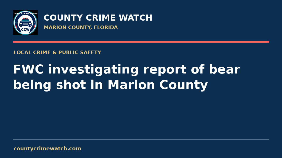 FWC investigating report of bear being shot in Marion County