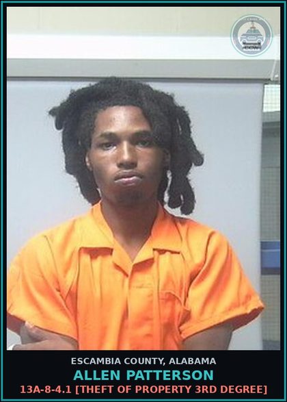 CCW arrest card for Allen Patterson in Escambia County: 13A-8-4.1 [Theft of Property 3rd Degree]