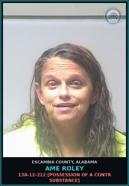 CCW arrest card for Ame Roley in Escambia County: 13A-12-212 [Possession of a contr substance]
