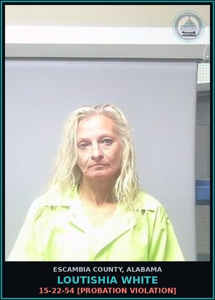CCW arrest card for Loutishia White in Escambia County: 15-22-54 [Probation Violation]