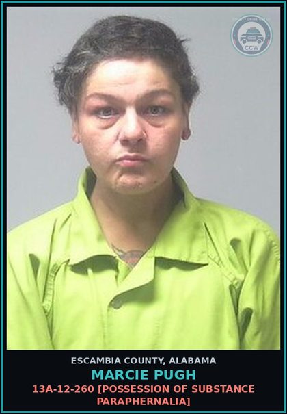 CCW arrest card for Marcie Pugh in Escambia County: 13A-12-260 [Possession of Drug Paraphernalia]