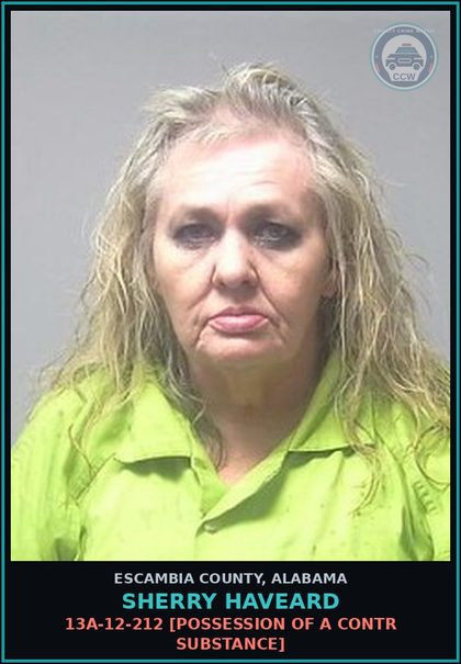 CCW arrest card for Sherry Haveard in Escambia County: 15-10-60 [Bench Warrant]