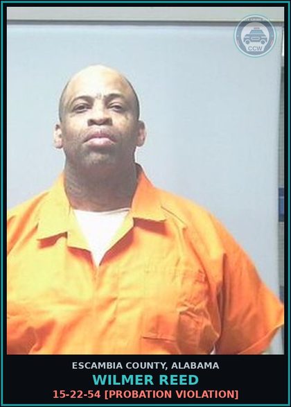 CCW arrest card for Wilmer Reed in Escambia County: 15-22-54 [Probation Violation]