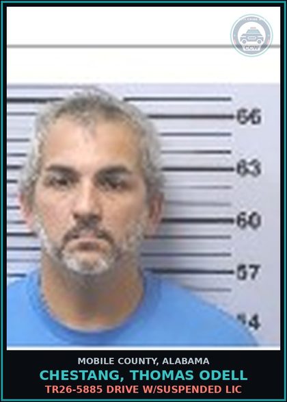 CCW arrest card for CHESTANG, THOMAS ODELL in Mobile County: TR26-5885 DRIVE W/SUSPENDED LIC