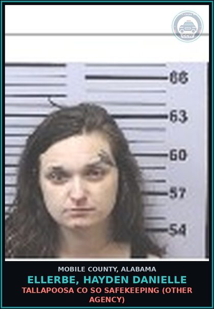CCW arrest card for ELLERBE, HAYDEN DANIELLE in Mobile County: TALLAPOOSA CO SO SAFEKEEPING (OTHER AGENCY)