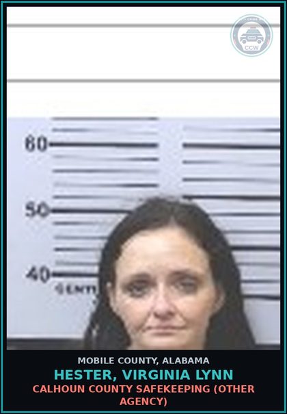 CCW arrest card for HESTER, VIRGINIA LYNN in Mobile County: CALHOUN COUNTY SAFEKEEPING (OTHER AGENCY)