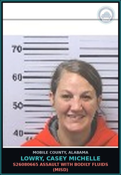 CCW arrest card for LOWRY, CASEY MICHELLE in Mobile County: S26080665 DOMESTIC VIOLENCE 3rd/ CRIMINAL MISCHIEF 2nd