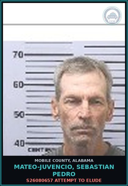 CCW arrest card for MATEO-JUVENCIO, SEBASTIAN PEDRO in Mobile County: S26080657 ATTEMPT TO ELUDE