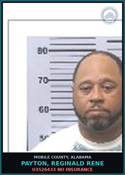 CCW arrest card for PAYTON, REGINALD RENE in Mobile County: U3526433 NO INSURANCE