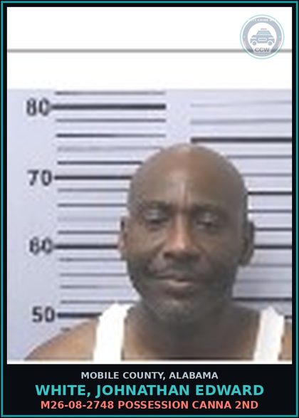 CCW arrest card for WHITE, JOHNATHAN EDWARD in Mobile County: N4914173 FAILURE TO SHOW VEHICLE REGISTRATION