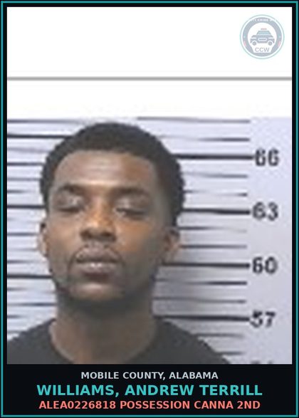 CCW arrest card for WILLIAMS, ANDREW TERRILL in Mobile County: ALEA0226818 POSSESSION Canna 2ND