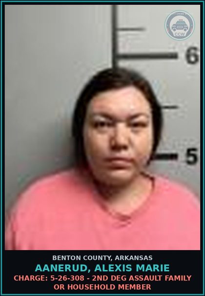 CCW arrest card for Aanerud, Alexis Marie in Benton County: Charge: 5-26-308 - 2ND DEG ASSAULT FAMILY OR HOUSEHOLD MEMBER