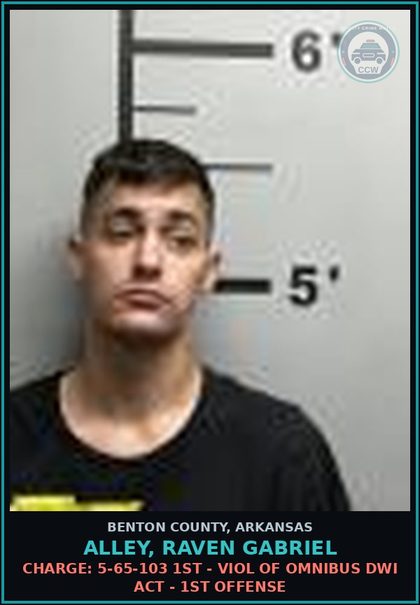 CCW arrest card for Alley, Raven Gabriel in Benton County: Charge: 5-65-103 1ST - VIOL OF OMNIBUS DWI ACT - 1ST OFFENSE
