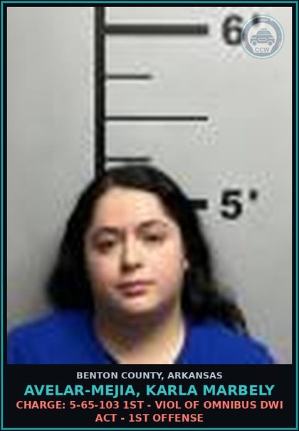 CCW arrest card for Avelar-Mejia, Karla Marbely in Benton County: Charge: 27-51-104 - CARELESS AND PROHIBITED DRIVING
