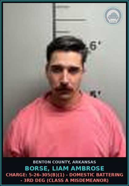 CCW arrest card for Borse, Liam Ambrose in Benton County: Charge: 5-26-305(b)(1) - DOMESTIC BATTERING - 3RD DEG (Class A misdemeanor)