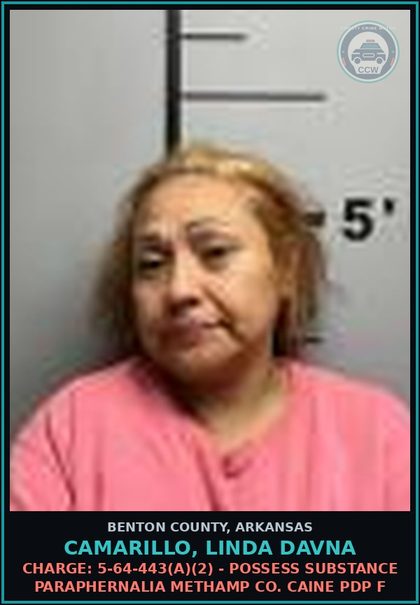 CCW arrest card for Camarillo, Linda Davna in Benton County: Charge: 5-64-443(a)(2) - POSSESS DRUG PARAPHERNALIA METH COCAINE PDP F
