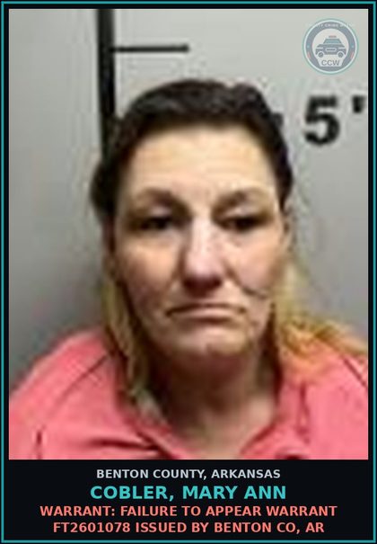 CCW arrest card for Cobler, Mary Ann in Benton County: Warrant: Failure to Appear warrant FT2601078 issued by BENTON CO, AR