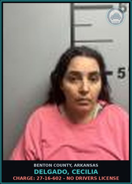 CCW arrest card for Delgado, Cecilia in Benton County: Charge: 27-16-602 - NO DRIVERS LICENSE