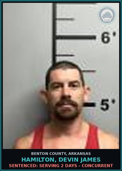 CCW arrest card for Hamilton, Devin James in Benton County: Sentenced: Serving 2 days - Concurrent