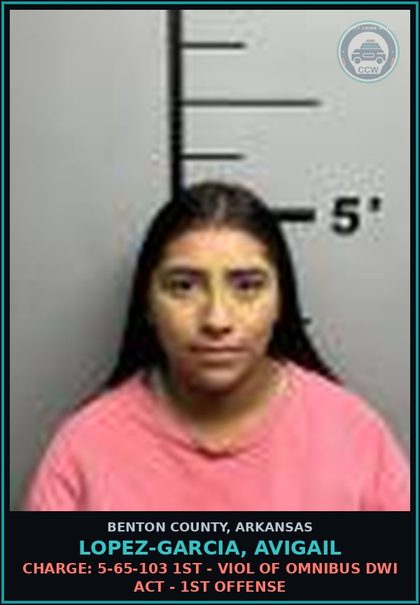 CCW arrest card for Lopez-Garcia, Avigail in Benton County: Charge: 5-65-103 1ST - VIOL OF OMNIBUS DWI ACT - 1ST OFFENSE