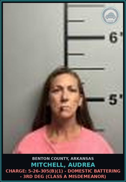 CCW arrest card for Mitchell, Audrea in Benton County: Charge: 5-26-305(b)(1) - DOMESTIC BATTERING - 3RD DEG (Class A misdemeanor)