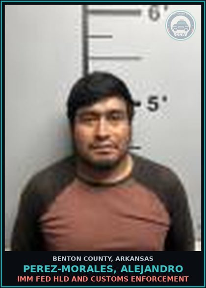 CCW arrest card for Perez-Morales, Alejandro in Benton County: HOLD for Immigration and Customs Enforcement