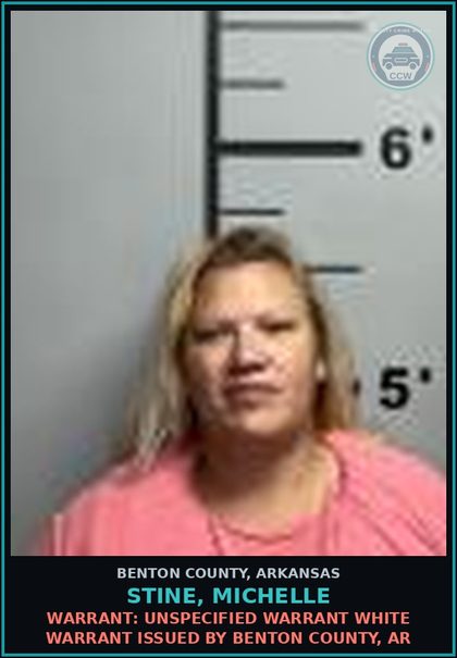 CCW arrest card for Stine, Michelle in Benton County: Warrant: Unspecified warrant WHITE WARRANT issued by BENTON COUNTY, AR