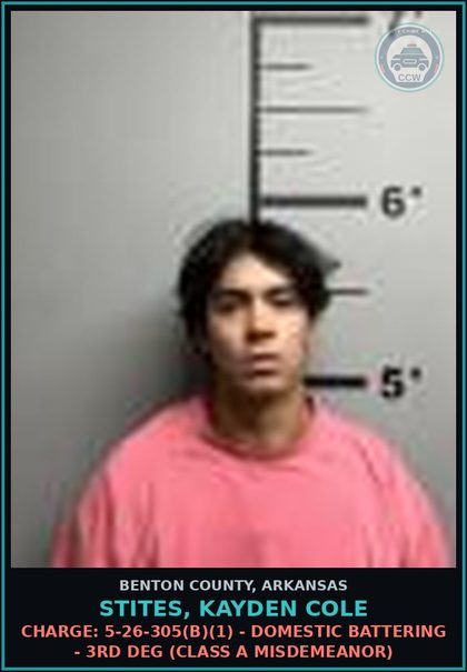 CCW arrest card for Stites, Kayden Cole in Benton County: Charge: 5-26-305(b)(1) - DOMESTIC BATTERING - 3RD DEG (Class A misdemeanor)
