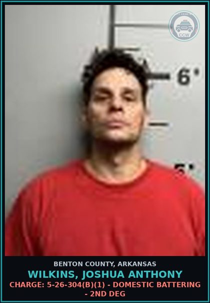 CCW arrest card for Wilkins, Joshua Anthony in Benton County: Charge: 5-26-304(b)(1) - DOMESTIC BATTERING - 2ND DEG