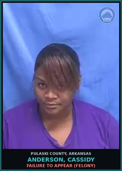 CCW arrest card for ANDERSON, CASSIDY in Pulaski County: FAILURE TO APPEAR (FELONY)