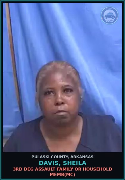 CCW arrest card for DAVIS, SHEILA in Pulaski County: 3RD DEG ASSAULT FAMILY OR HOUSEHOLD MEMB(MC)