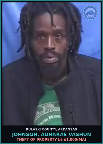 CCW arrest card for JOHNSON, AUNARAE VASHUN in Pulaski County: THEFT OF PROPERTY LE $1,000(MA)