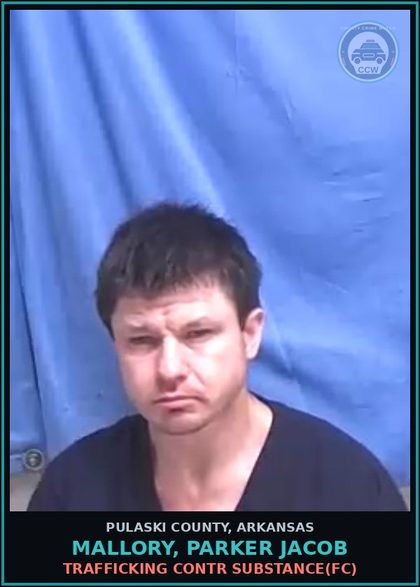 CCW arrest card for MALLORY, PARKER JACOB in Pulaski County: TRAFFICKING contr substance(FC)