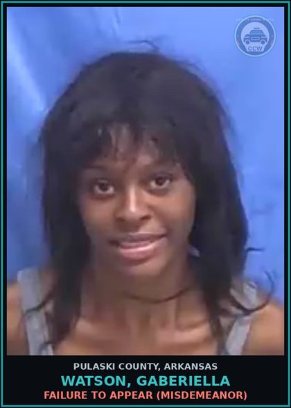 CCW arrest card for WATSON, GABERIELLA in Pulaski County: FAILURE TO APPEAR (MISDEMEANOR)