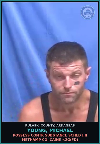 CCW arrest card for YOUNG, MICHAEL in Pulaski County: POSSESS contr substance SCHED I,II METH COCAINE <2G(FD)