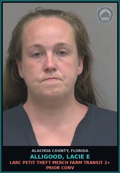 CCW arrest card for ALLIGOOD, LACIE E in Alachua County: LARC PETIT THEFT MERCH FARM TRANSIT 2+ PRIOR CONV