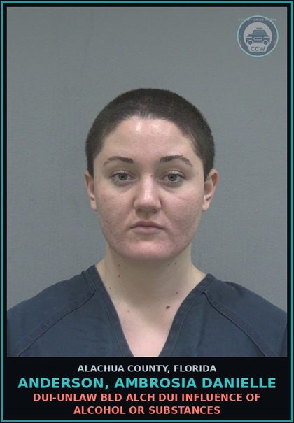 CCW arrest card for ANDERSON, AMBROSIA DANIELLE in Alachua County: DUI-UNLAW BLD ALCH DUI INFLUENCE OF ALCOHOL OR DRUGS