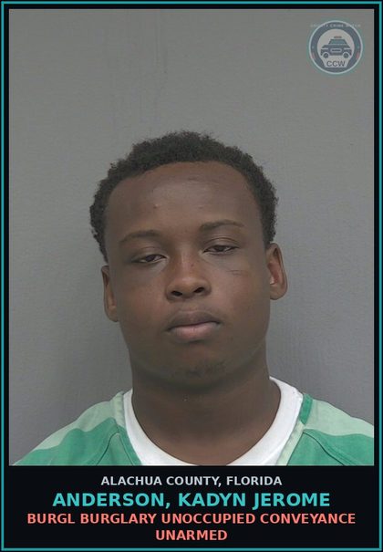 CCW arrest card for ANDERSON, KADYN JEROME in Alachua County: LARC OTHER THEFT