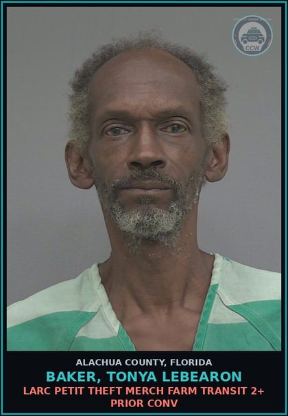 CCW arrest card for BAKER, TONYA LEBEARON in Alachua County: LARC PETIT THEFT MERCH FARM TRANSIT 2+ PRIOR CONV