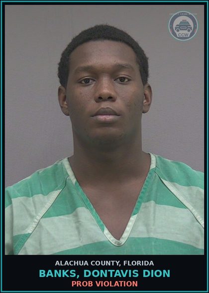 CCW arrest card for BANKS, DONTAVIS DION in Alachua County: PROB VIOLATION