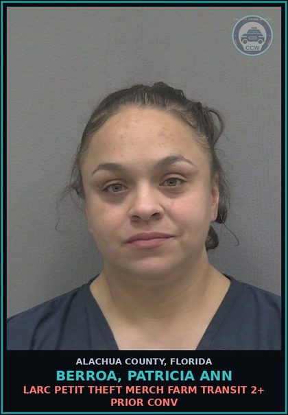 CCW arrest card for BERROA, PATRICIA ANN in Alachua County: LARC PETIT THEFT MERCH FARM TRANSIT 2+ PRIOR CONV