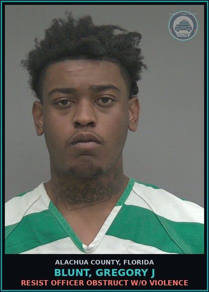 CCW arrest card for BLUNT, GREGORY J in Alachua County: RESIST OFFICER OBSTRUCT W/O VIOLENCE