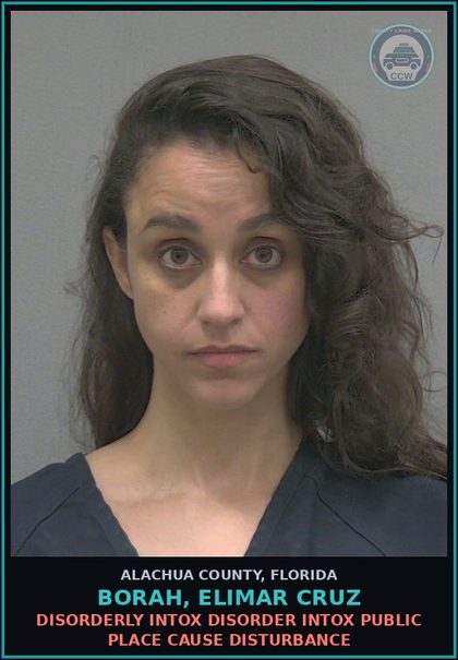 CCW arrest card for BORAH, ELIMAR CRUZ in Alachua County, Florida: DISORDERLY INTOX DISORDER INTOX PUBLIC PLACE CAUSE DISTURBANCE