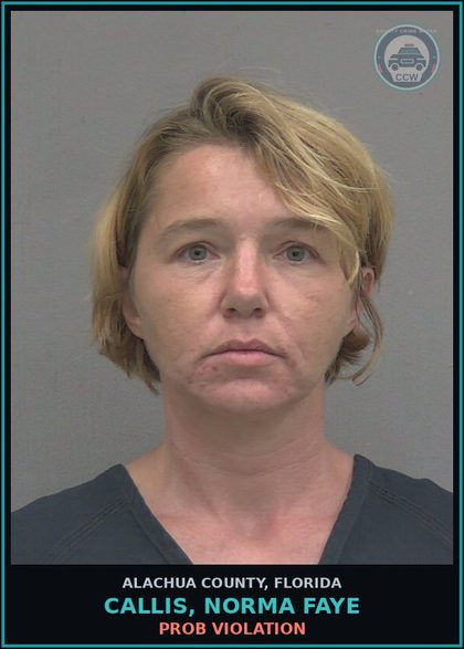 CCW arrest card for CALLIS, NORMA FAYE in Alachua County: PROB VIOLATION