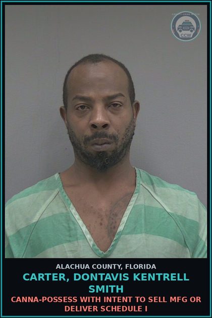CCW arrest card for CARTER, DONTAVIS KENTRELL SMITH in Alachua County: Canna-POSSESS WITH INTENT TO SELL MFG OR DELIVER SCHEDULE I