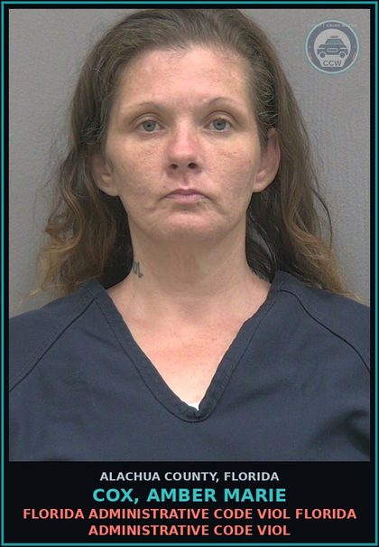 CCW arrest card for COX, AMBER MARIE in Alachua County: FLORIDA ADMINISTRATIVE CODE VIOL FLORIDA ADMINISTRATIVE CODE VIOL