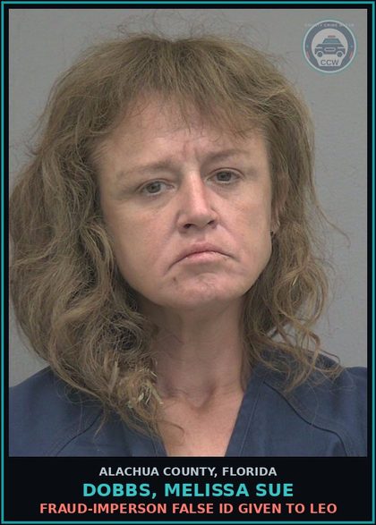 CCW arrest card for DOBBS, MELISSA SUE in Alachua County: TRESPASSING TRESPASS NOT STRUCT/CONVEY VIOL POSTED NOTICE