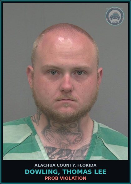 CCW arrest card for DOWLING, THOMAS LEE in Alachua County: PROB VIOLATION