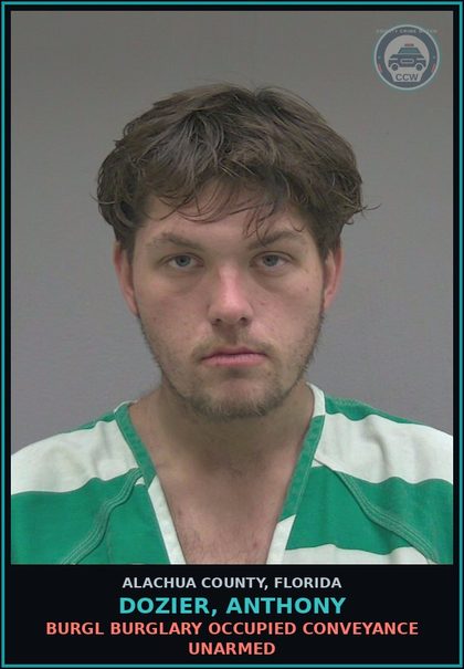 CCW arrest card for DOZIER, ANTHONY in Alachua County: LARC PETIT THEFT MERCH FARM TRANSIT $100 LT $750