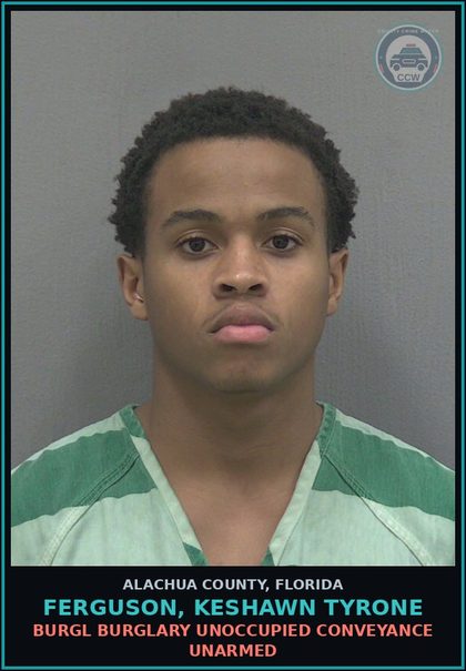 CCW arrest card for FERGUSON, KESHAWN TYRONE in Alachua County, Florida: VEH THEFT GRAND THEFT OF MOTOR VEHICLE
